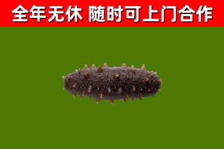 黔东南烟酒回收干海参.jpg